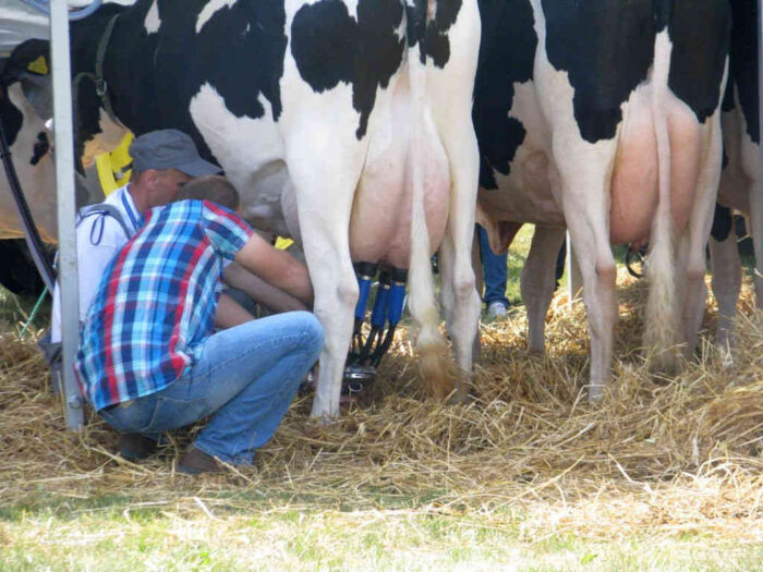 mleko_kwoty_rynek_ministerstwo