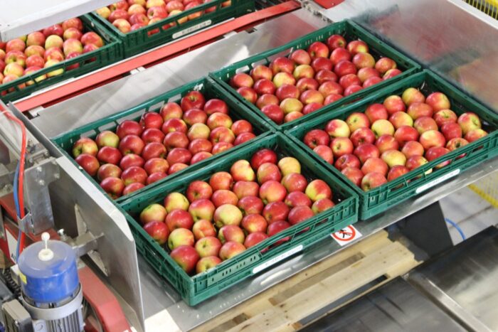 artykuły rolno-spożywcze, eksport artykułów rolno-spożywczych, ministerstwo ronictwa, sprzedaż zagraniczna