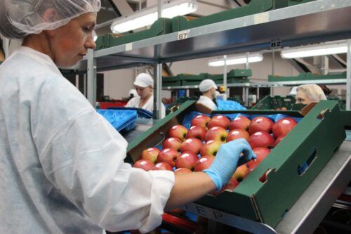 targi spożywcze Prodexpo, jacek bogucki, mińsk, polska-białoruś, promocja żywności