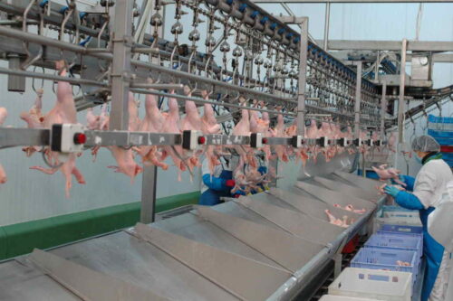 polska_zywnosc_onz_kontrakty_eksport_ministerstwo_gospodarki