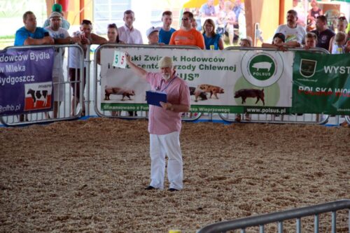 16 regionalna wystawa zwierzat hodowlanych, Minikowo