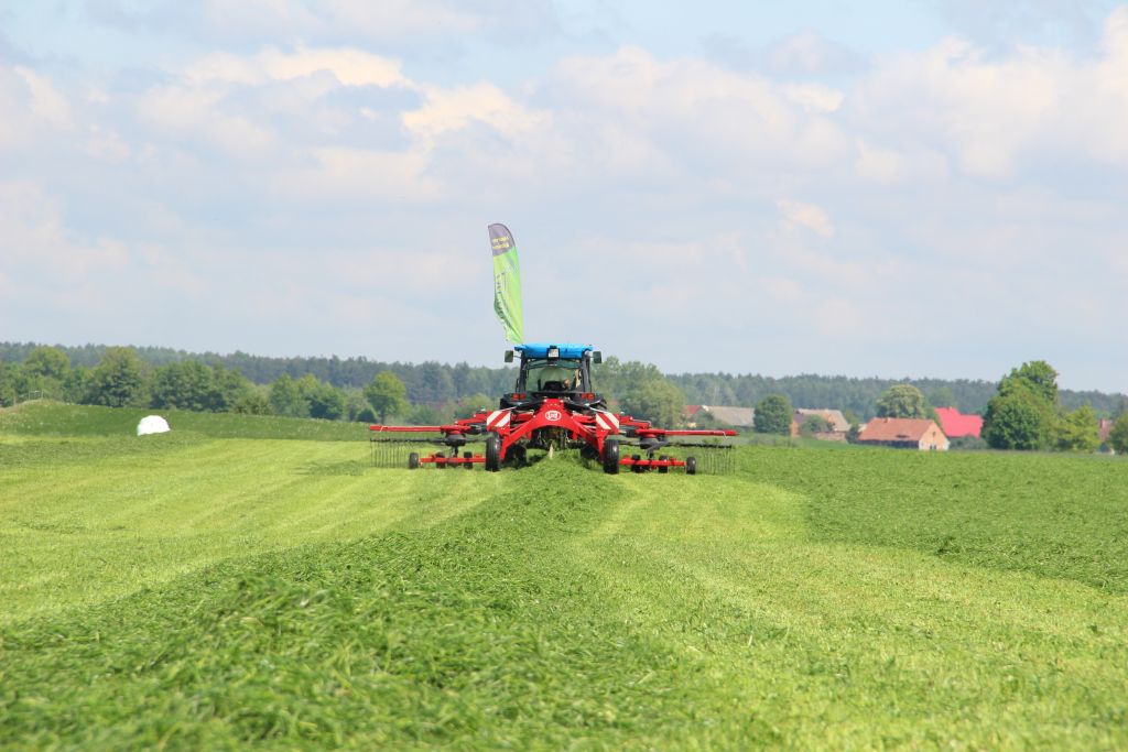 sianokiszonki, jakosc pasz, wydajnosc krow