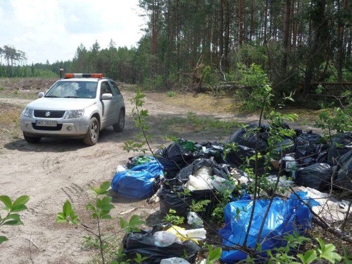 zaśmiecanie lasów, śmieci, odpady, mandat