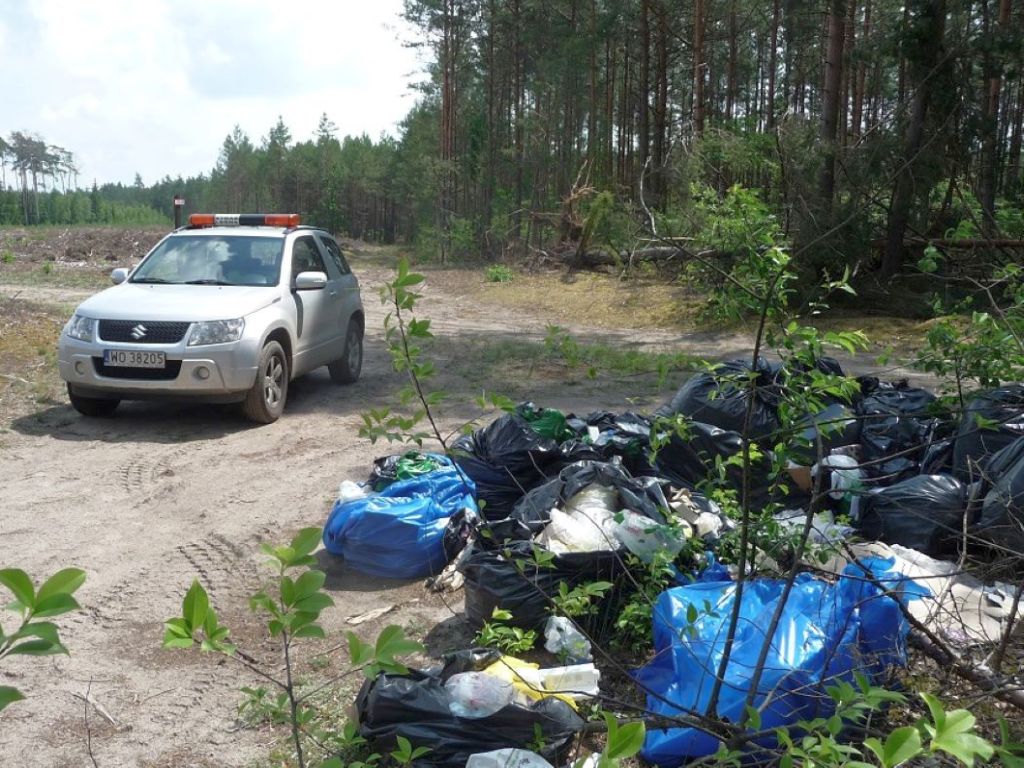 zaśmiecanie lasów, śmieci, odpady, mandat