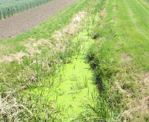 spolki_wodne_dotacje_kujawsko_pomorskie