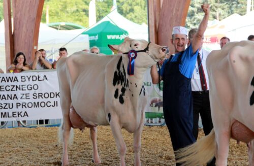 16 regionalna wystawa zwierzat hodowlanych, Minikowo