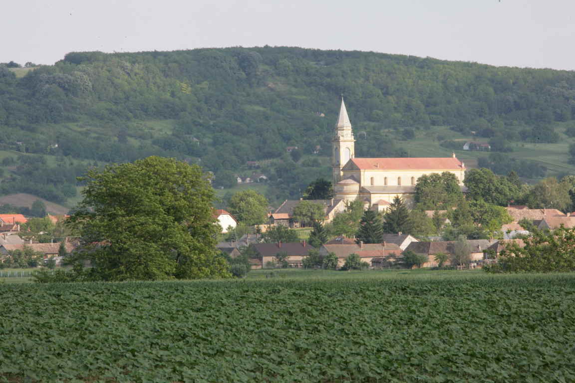 wspolnoty_gruntowe_ustawa_rolnictwo