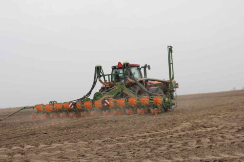 zaprawianie_nasion_ochrona