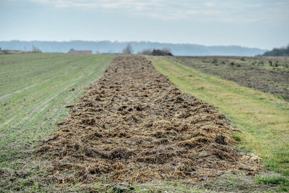 nawożenie, NIK, raport, gleba, uprawa, badanie gleby