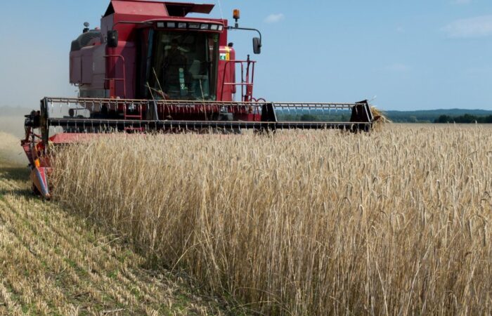 zniwa_zbiory_zboz_susza_szacunki_gus