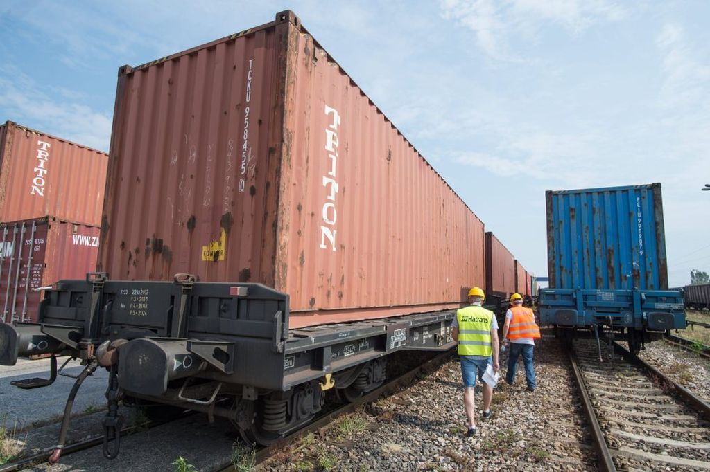 wyroby spożywcze, Tomasz Grzelak, Hatrans Logistic, Xu Yongxin