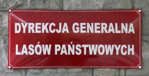 najwyższa izba kontroli, lasy państwowe, anna malinowska