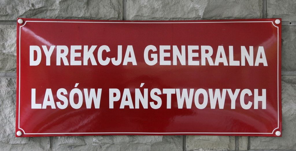 najwyższa izba kontroli, lasy państwowe, anna malinowska