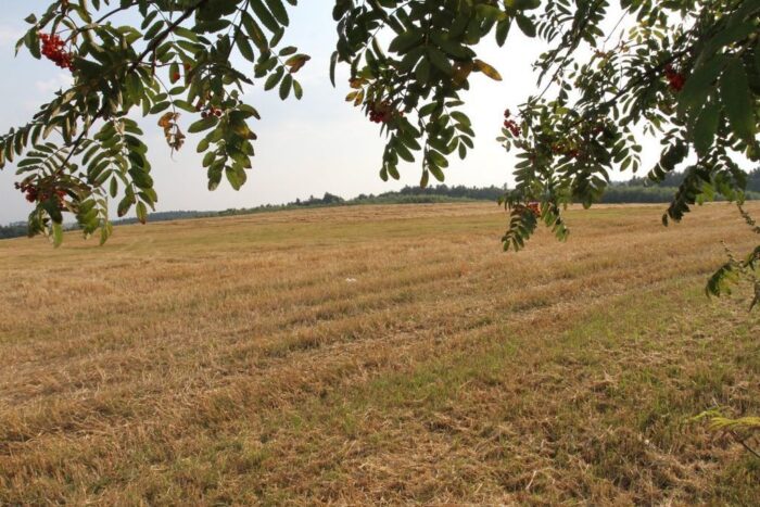 wiktor szmulewicz, krajowa rada izb rolniczych, susza rolnicza