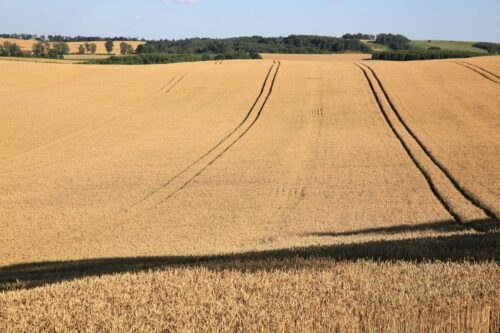 Od 1 maja 2016 roku każdy obywatel UE mógłby kupić polską ziemię bez ograniczeń.