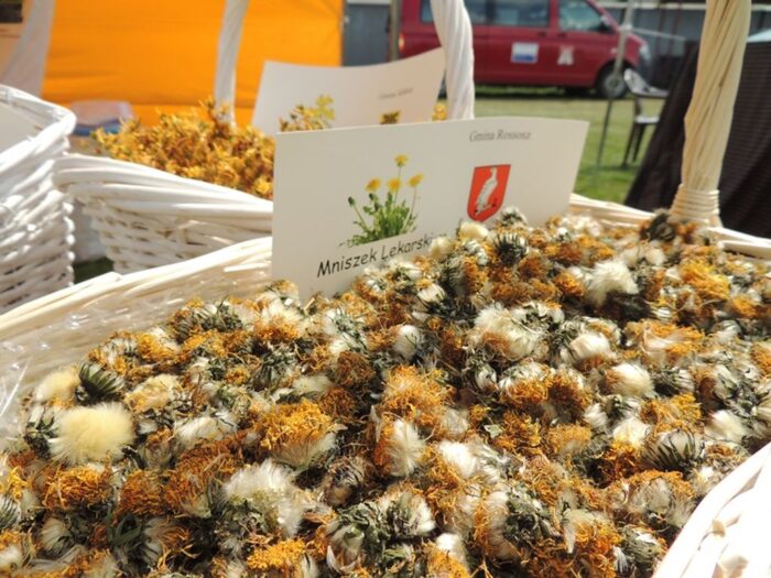 uprawa ziół, Urząd Marszałkowski Województwa Lubelskiego, Andrzej Skrabucha