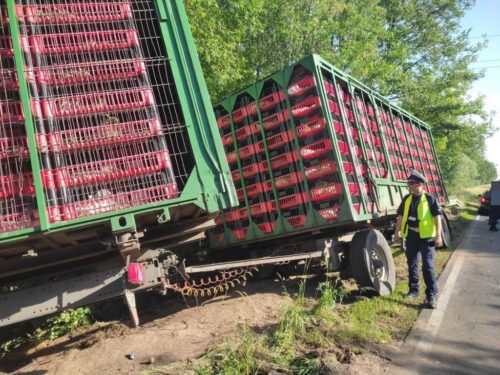 zdarzenie drogowe, ciężarówka, drób, transport drobiu