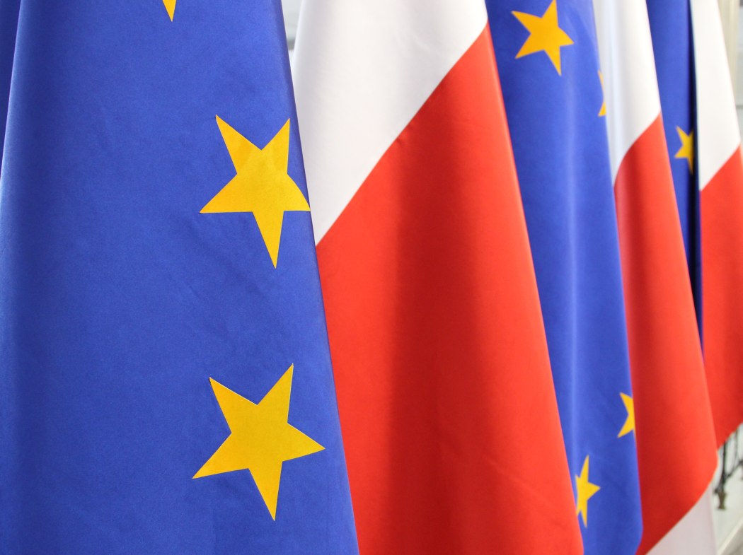 prawo, przepisy, Komisja Europejska,  wytyczne, oliwki, wołowina, cielęcina