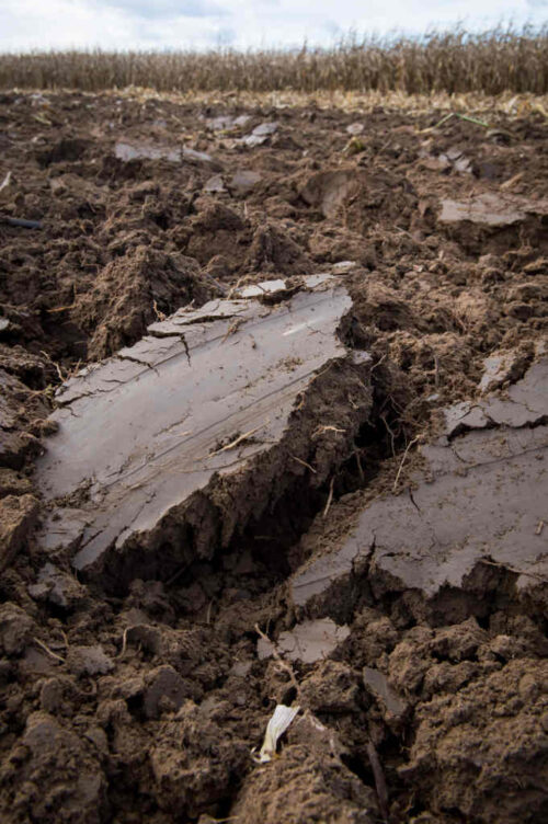 gleba_zakup_ziemi_anr