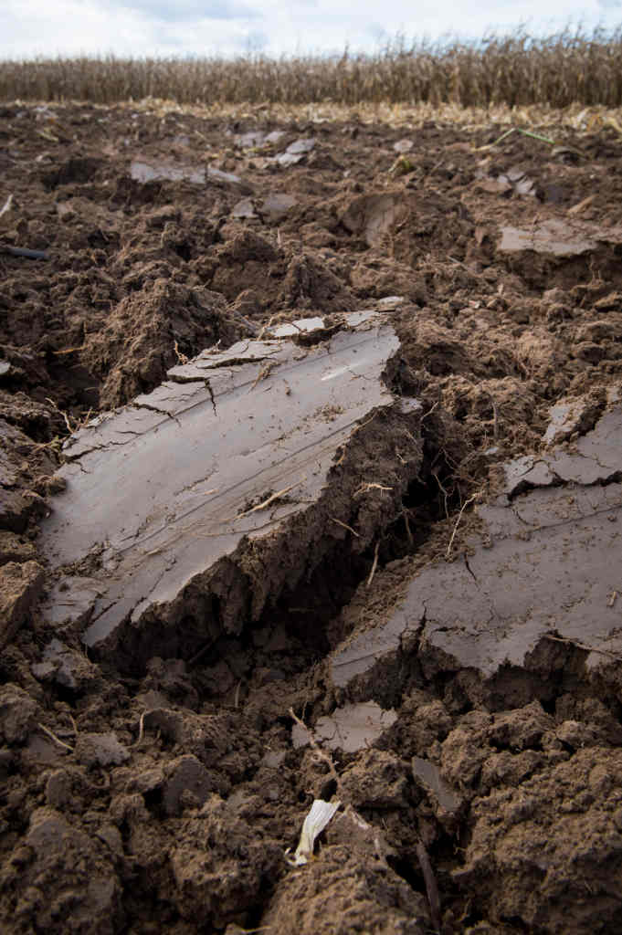 gleba_zakup_ziemi_anr