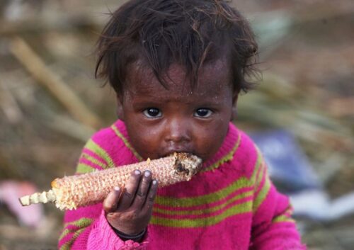 głód, głodne dziecko, kukurydza