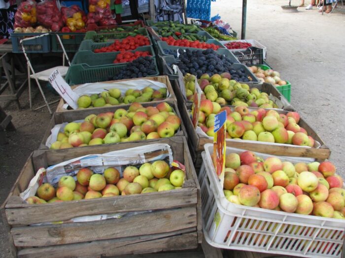 owoce, zbiory owoców, jabłka, Eberhard Makosz, Towarzystwo Rozwoju Sadów Karłowatych