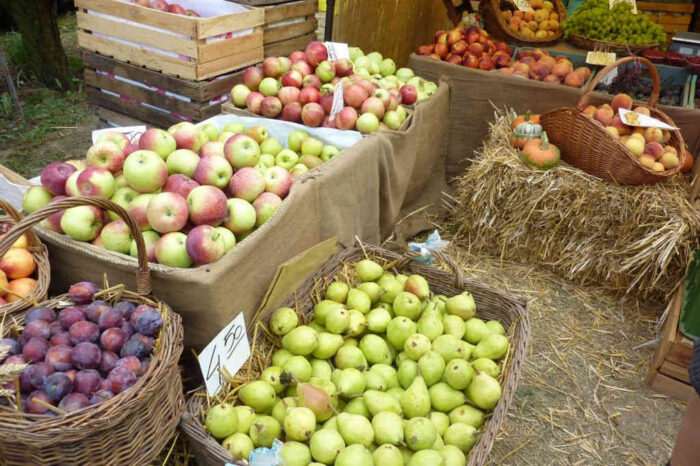 jablka_sliwy_gruszki