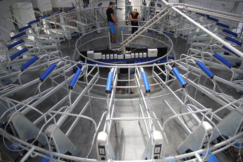 karuzela, hala udojowa, bydło mleczne, DeLaval