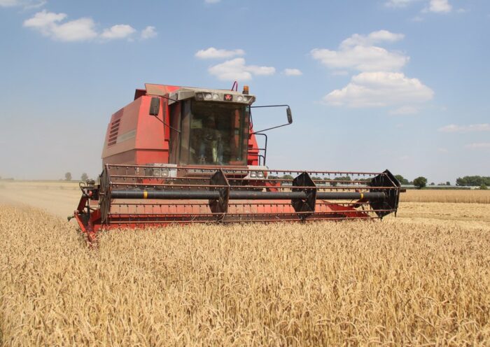 kombajn zbożowy Massey Ferguson 38