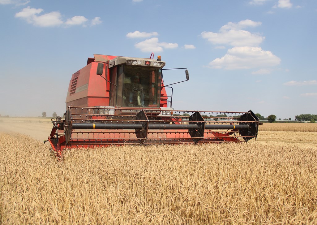 kombajn zbożowy Massey Ferguson 38