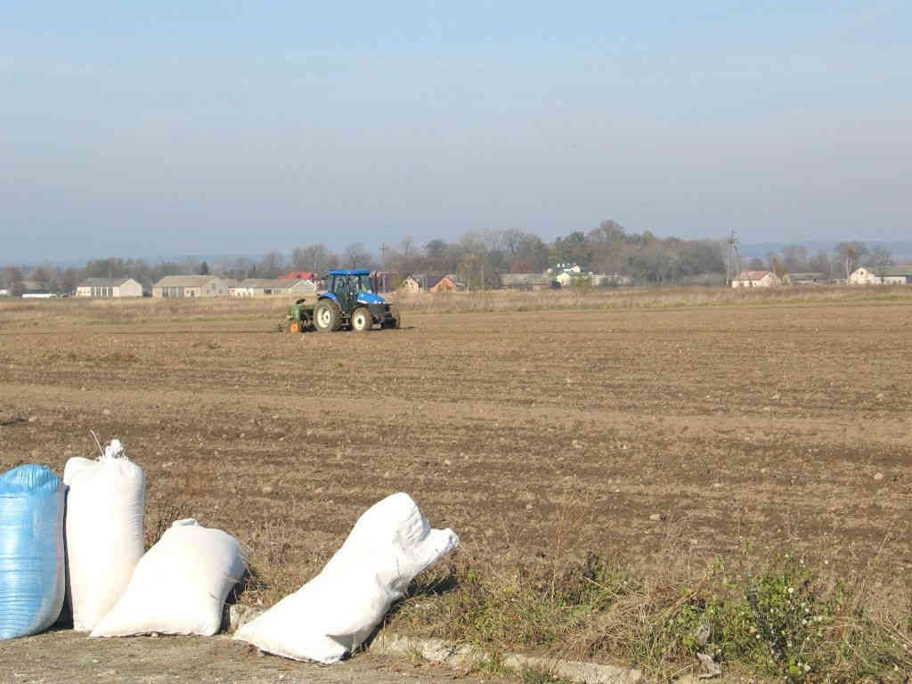 material_siewny_doplaty_stawki