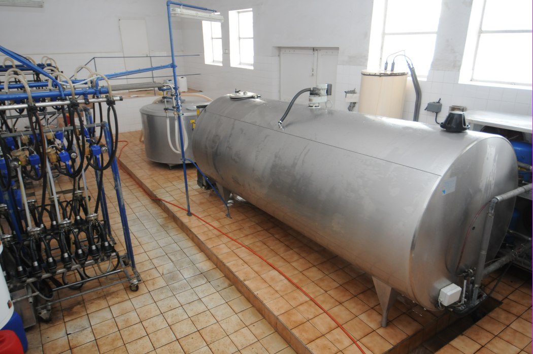 mleko, Spomlek, wzrosty cen mleka, produkcja mleka, Spółdzielcza Mleczarnia Spomlek