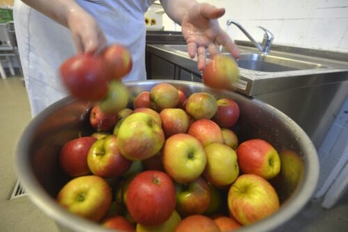 program owoce w szkole, agencja rynku rolnego, komisja europejska