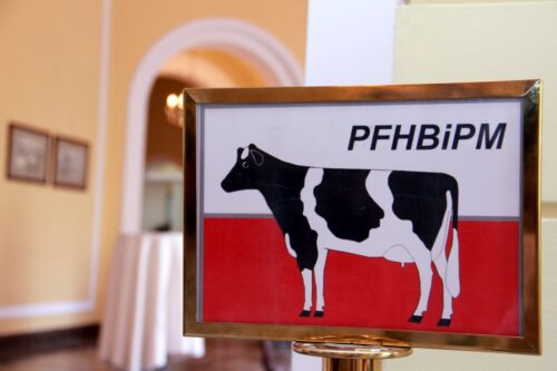 nowa usługa Federacji, e-faktury, e-raporty