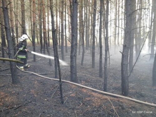 pożar gospodarstwa, świętokrzyskie, Kolonia Grzybów, straż pożarna, gowin, pomorze