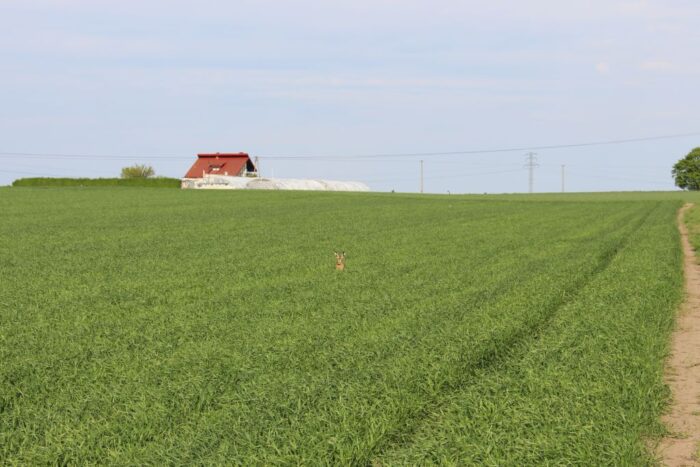 kontrole na miejscu, arimr, kontrola metodą FOTO, kontrola metodą inspekcji terenowej