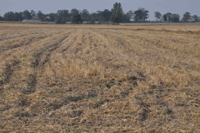 resztki_pozniwne_slomex