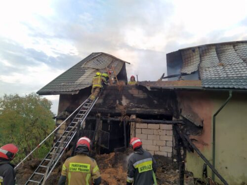 pożar, stajnia, konie, śmierć koni, przemyśl