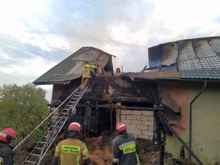pożar, stajnia, konie, śmierć koni, przemyśl