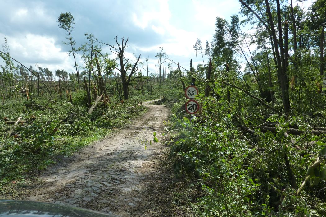 asf, inwestycje odtwarzające potencjał produkcji rolnej, straty spowodowane klęskami żywiołowymi