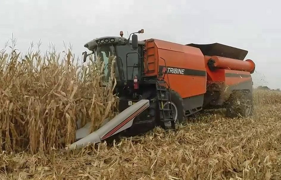 kombajn zbożowy Tribine