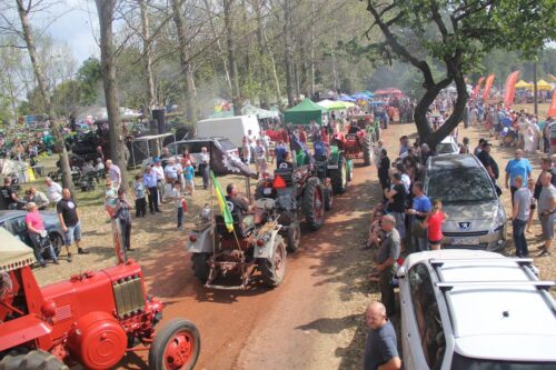 Wilkowice - XIV Festiwal im. Jerzego Samelczaka