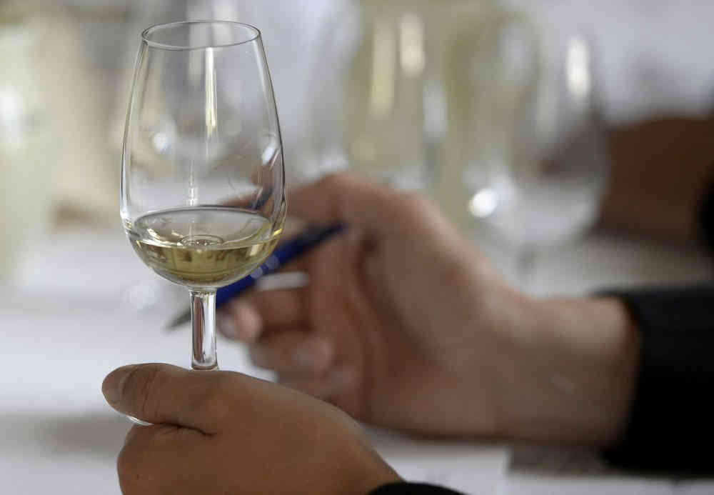 wino