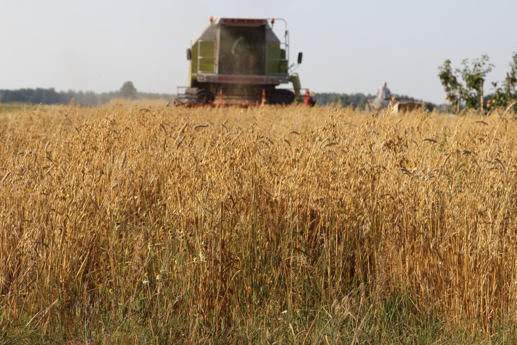 pkb, produkt krajowy brutto, wzrost gospodarczy, gospodarka, gus, główny urząd statystyczny