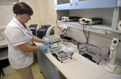 GMO,Parlament Europejski,prawo,KE,UE