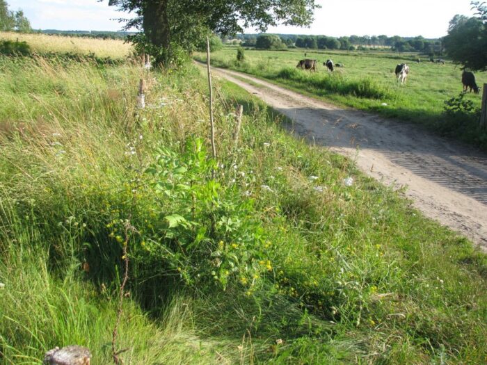 program rolnośrodowiskowy, lubuska izba rolnicza, tadeusz nalewajk