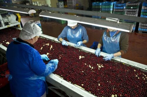 Michał Iwanowski, elżbieta polak, andrzej koziarski