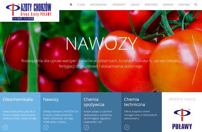 grupa azoty, ministerstwo rozwoju, Mateusz Morawiecki, ministerstwo skarbu państwa