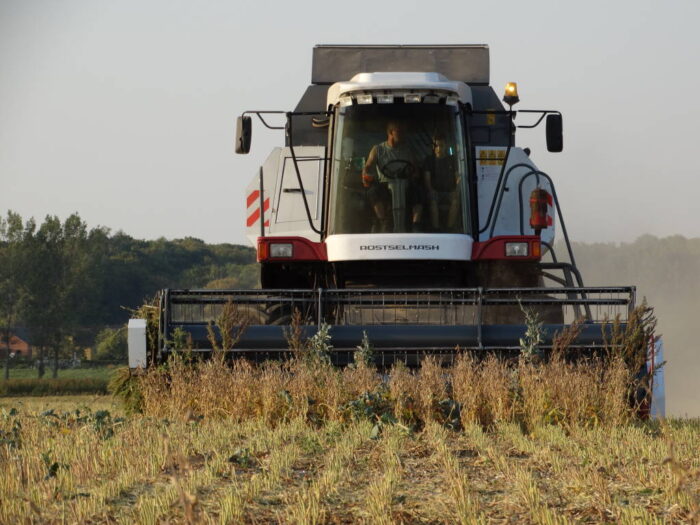 kombajn, soja, Sahryń