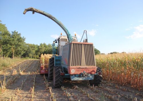 sieczkarnia Mengele Mammut